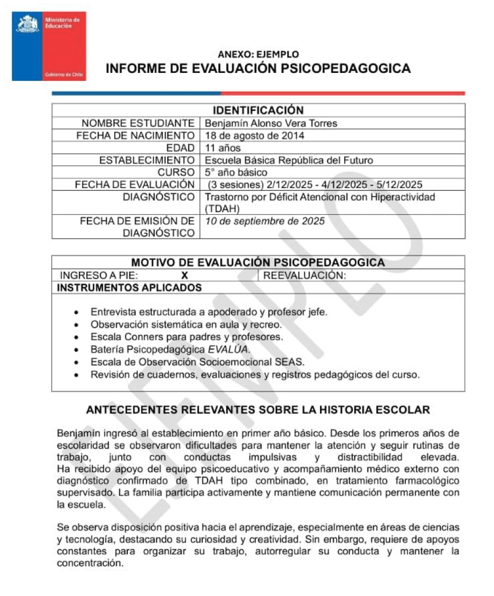 Vista previa: Informe psicopedagógico
